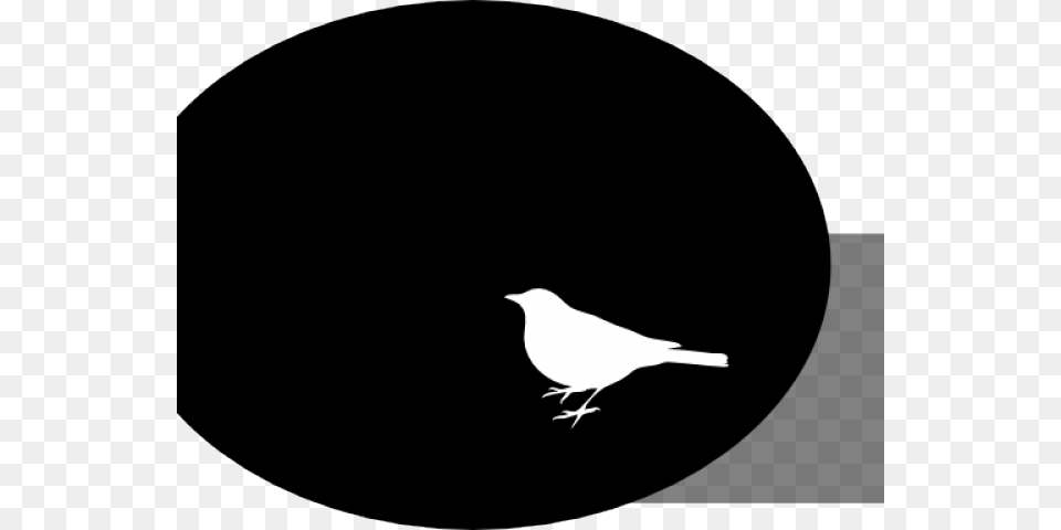 Crow Clipart White Background Complices Esta Vez La Aventura De Leer, Animal, Bird, Stencil, Blackbird Free Transparent Png