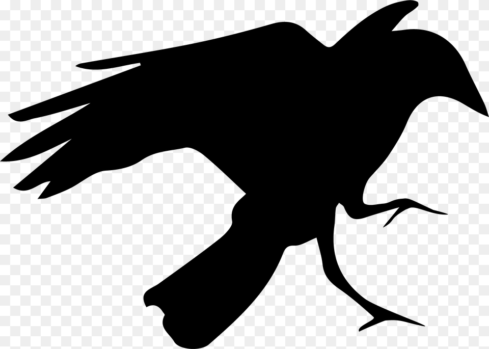 Crow Digital Logo Crow Logo, Gray Free Png