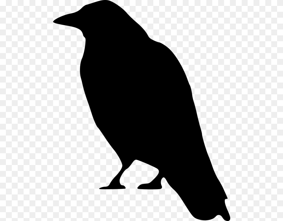 Crow Drawing Silhouette Art, Gray Free Transparent Png