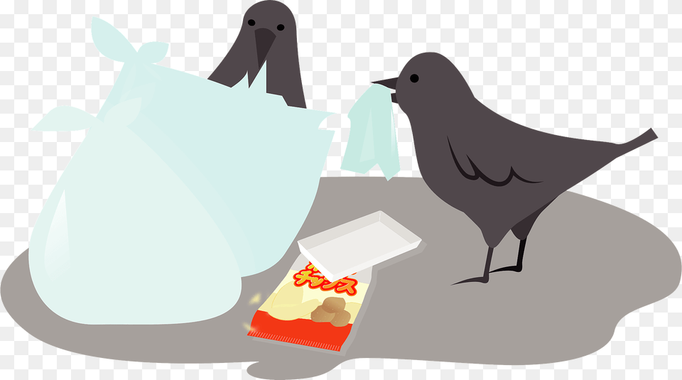 Crow Eat Garbage Clipart, Bag, Plastic, Ice, Animal Png Image