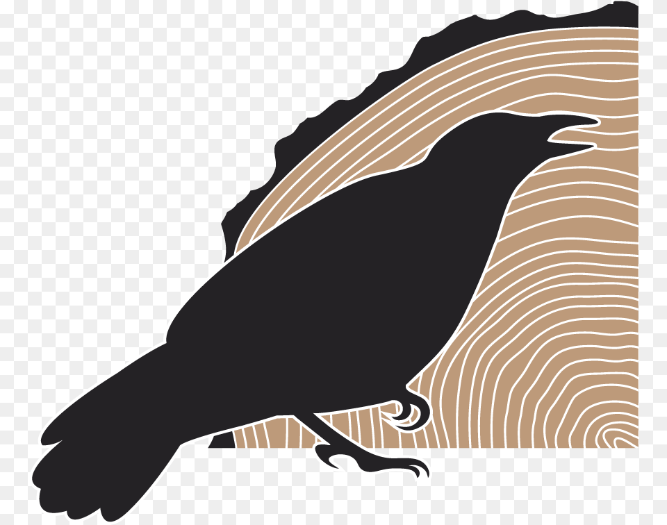 Crow Engineering, Animal, Bird, Blackbird, Baby Png