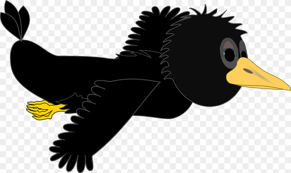 Crow In Flight Wings Even Clipart, Animal, Bird, Blackbird, Beak Free Transparent Png