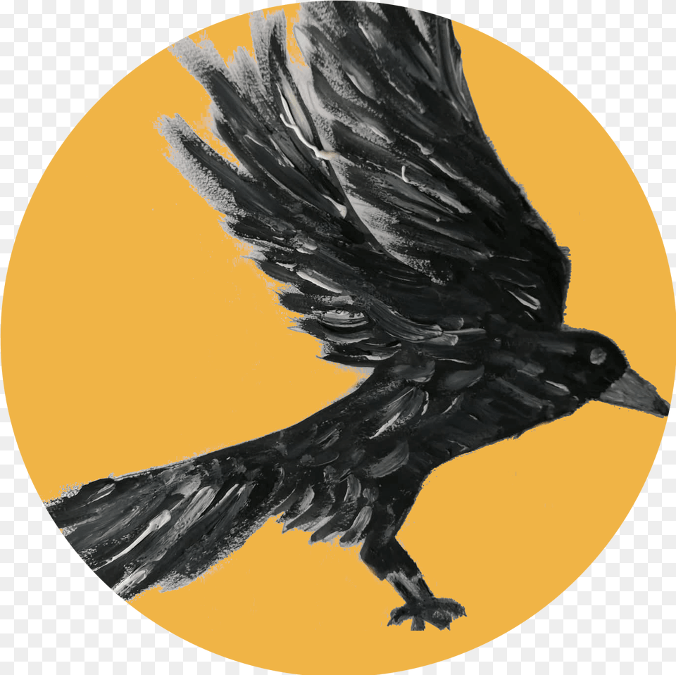 Crow Intelligence American Crow, Animal, Bird, Blackbird Png Image