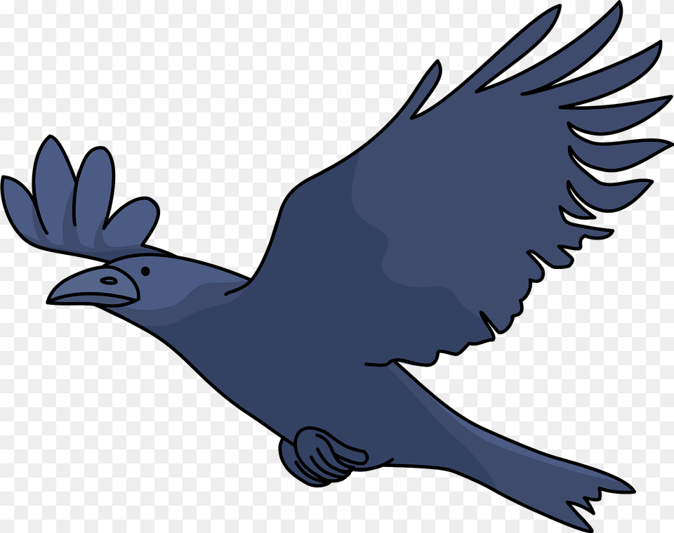 Crow Is Flying Clipart, Animal, Bird, Vulture, Fish Png