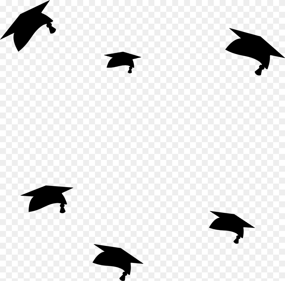 Crow Like Bird Flying Graduation Hat, Gray Free Transparent Png