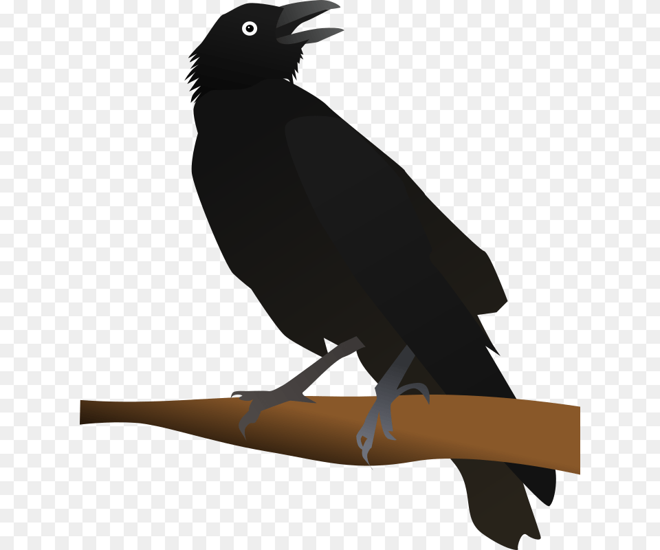 Crow Like Birdnew Caledonian Crowamerican Crow Clip Art Image Of Crow, Animal, Bird, Blackbird Free Png