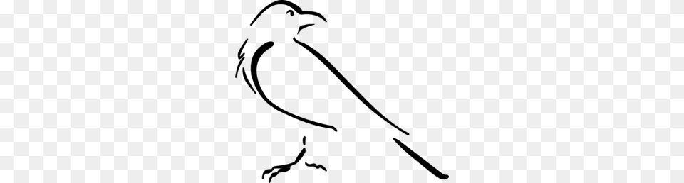 Crow Line Art Clip Art For Web, Gray Png Image