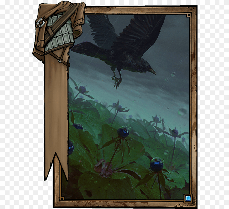 Crow S Eye Mastercrafted Spear Gwent, Animal, Bird, Blackbird Png
