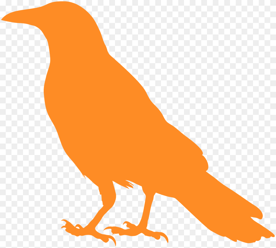 Crow Silhouette, Animal, Bird, Kangaroo, Mammal Free Transparent Png