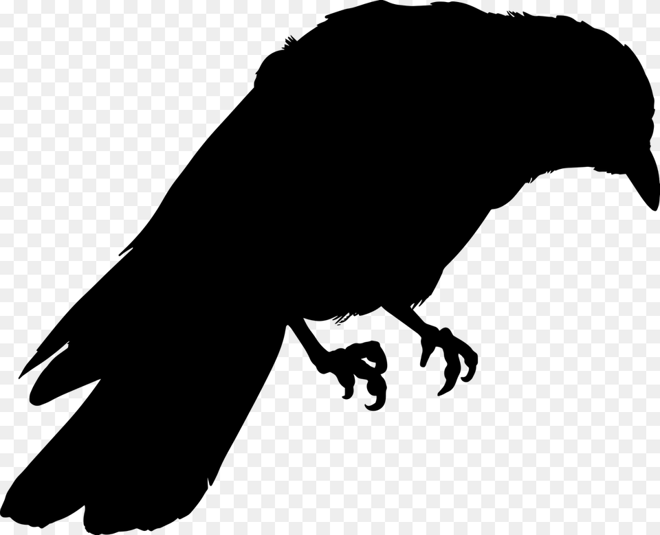 Crow Silhouette, Gray Png Image