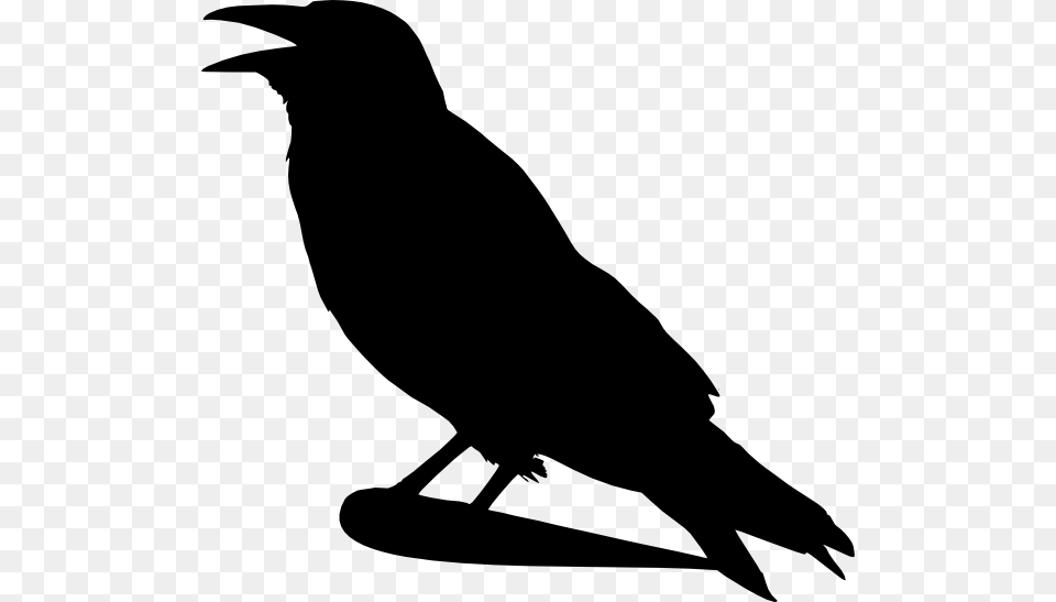 Crow Silhouette Clip Art, Animal, Bird, Blackbird, Fish Free Transparent Png