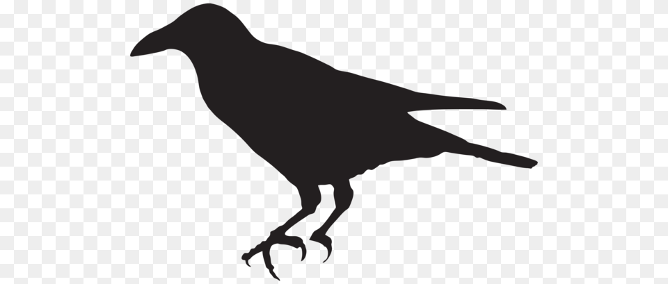 Crow Silhouette Clip Art, Animal, Bird, Person Png Image
