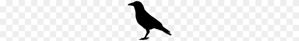 Crow Silhouette Clip Art Image M, Gray Free Transparent Png