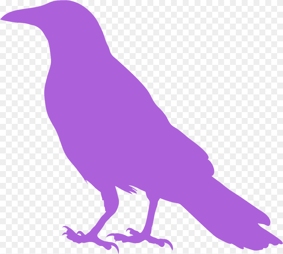 Crow Silhouette Red, Person, Animal, Bird, Blackbird Free Png Download