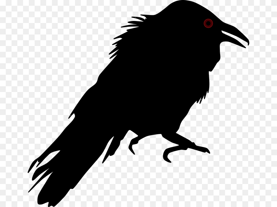 Crow Silhouette Transparent Background, Nature, Night, Outdoors, Astronomy Free Png