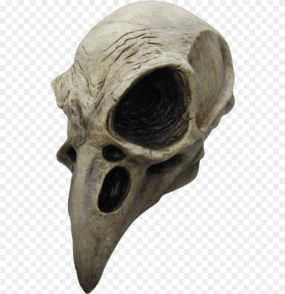 Crow Skull Halloween Mask Crow Skull Mask, Animal, Beak, Bird, Adult Free Png