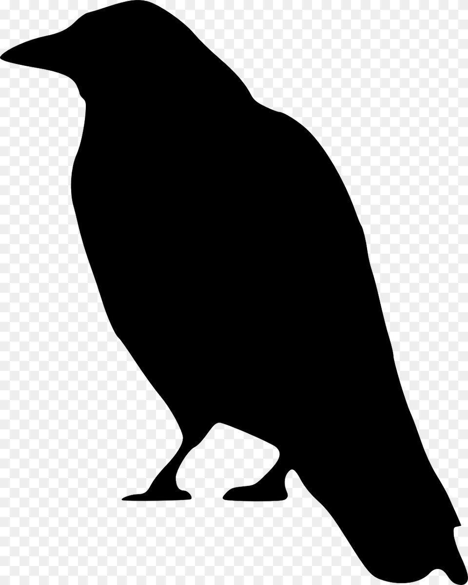 Crow Standing Svg Clip Arts Crow Clip Art, Gray Png
