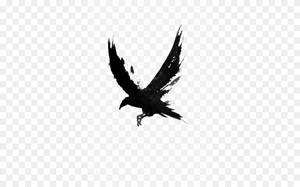 Crow Transparent Crow Tattoo, Silhouette, Animal, Bird, Blackbird Png Image