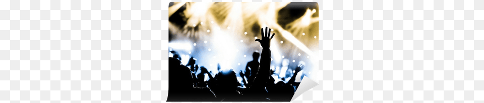 Crowd With Hands Raised At A Live Music Concert Wall Wjec Gcse Sociology Student Book Book, Person, Rock Concert, Lighting, Adult Free Png