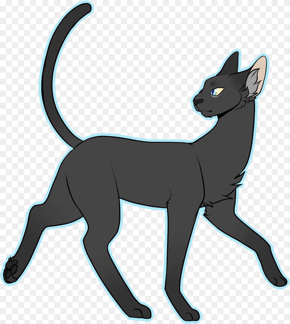 Crowfeather Based Him Off My Own Cats Body Type, Animal, Cat, Mammal, Pet Png Image