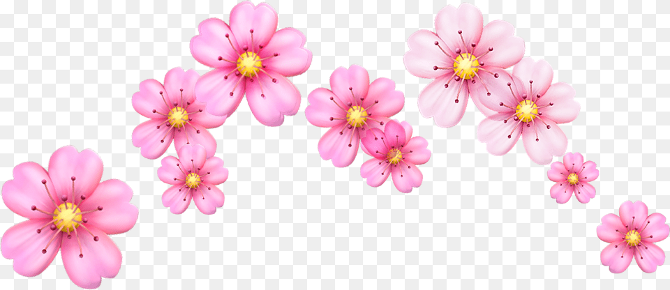 Crown Crownflower Flower Flowercrown Cherry Cherryblossom Flower Emoji Crown, Anther, Geranium, Petal, Plant Free Png Download