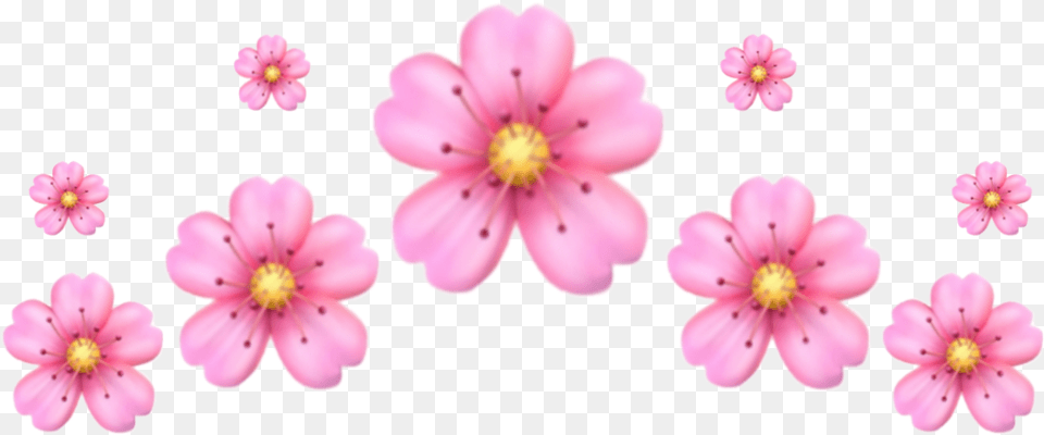 Crown Emoji Flower Cherry Sticker By Girly, Anemone, Anther, Geranium, Petal Free Png Download