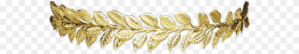 Crown Gold Golden Leaf Head Gold Leaf Crown, Accessories, Jewelry, Plant Free Transparent Png