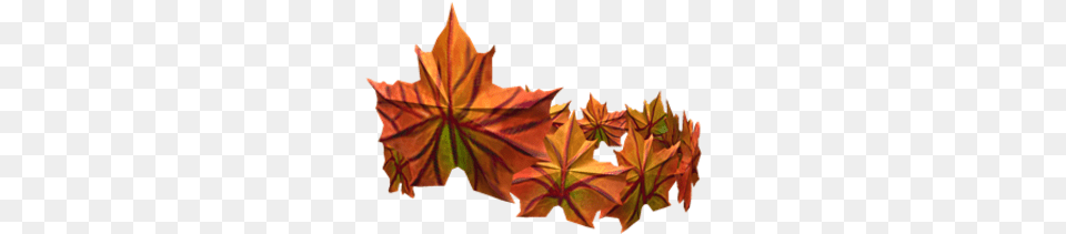 Crown Of The Fall Roblox Wikia Fandom Maple Leaf, Tree, Plant, Maple Leaf, Wedding Free Transparent Png