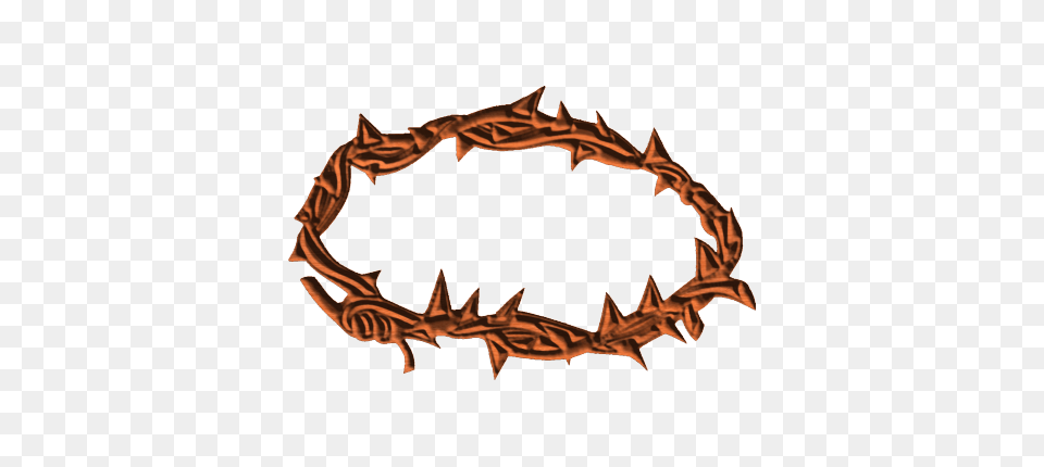 Crown Of Thorns, Accessories, Bracelet, Jewelry, Animal Free Transparent Png