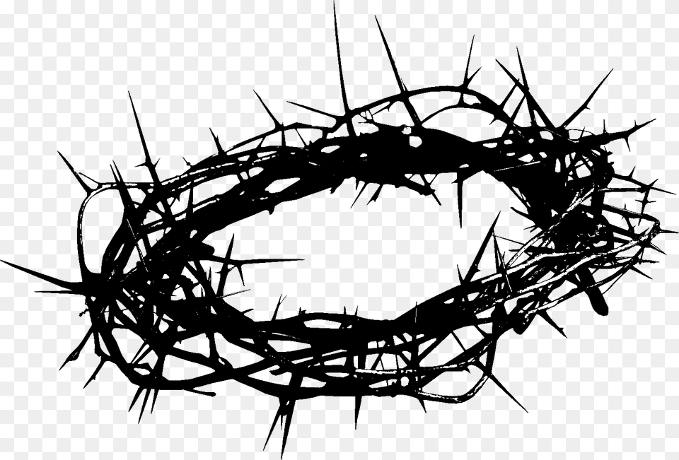 Crown Of Thorns Artwork Crown Of Thorns, Wire, Barbed Wire, Animal, Invertebrate Free Png