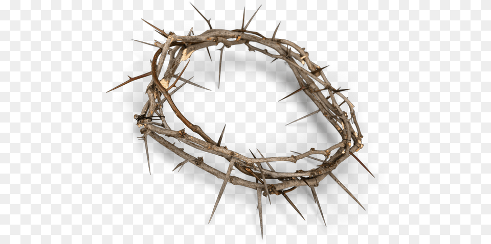 Crown Of Thorns Cartoon Transparent Woven Crown Of Thorns, Accessories, Animal, Invertebrate, Spider Free Png Download