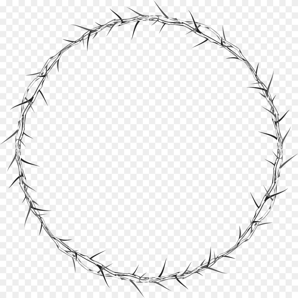 Crown Of Thorns Clipart, Oval, Green, Plant Free Transparent Png