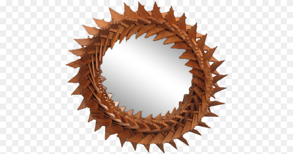 Crown Of Thorns Frame With Mirror Lame De Scie Circulaire Pour Couper L Aluminium, Photography, Animal, Dinosaur, Reptile Png