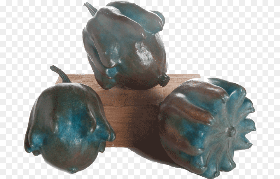 Crown Of Thorns Gourds Bell Pepper, Food, Produce, Bell Pepper, Plant Png