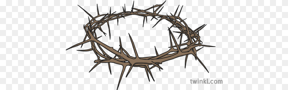 Crown Of Thorns Illustration Espinas, Antler, Accessories, Aircraft, Airplane Free Png