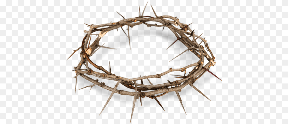 Crown Of Thorns Image Crown Of Thorns Transparent, Accessories, Wood, Jewelry Png