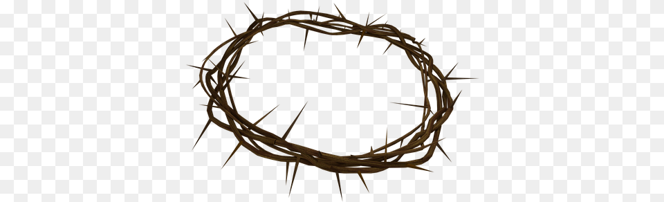 Crown Of Thorns Jesus Christian Coroa De Espinhos, Animal, Dinosaur, Reptile Free Png Download