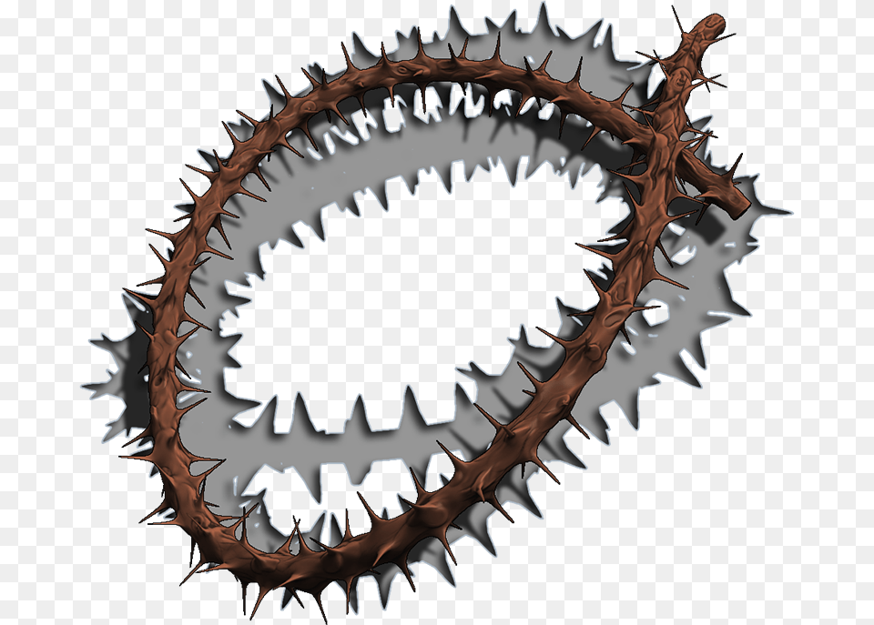 Crown Of Thorns Thorns Spines And Prickles Blender Cartilaginous Fish, Animal, Dinosaur, Reptile, Accessories Png Image