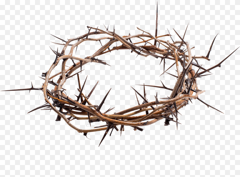 Crown Of Thorns Transparent, Electronics, Mobile Phone, Phone Free Png Download