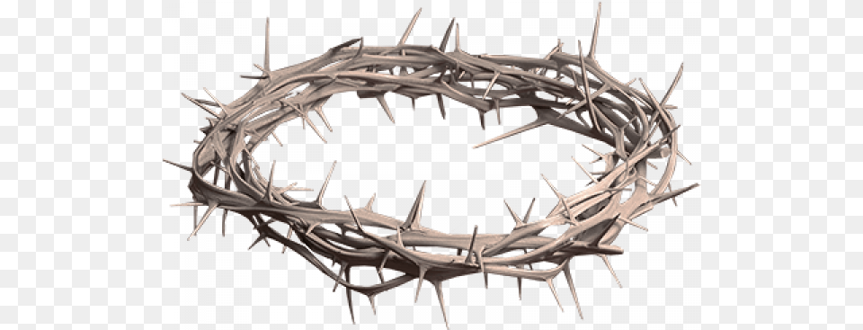 Crown Of Thorns Transparent Background Twig, Antler, Aircraft, Airplane, Transportation Free Png Download