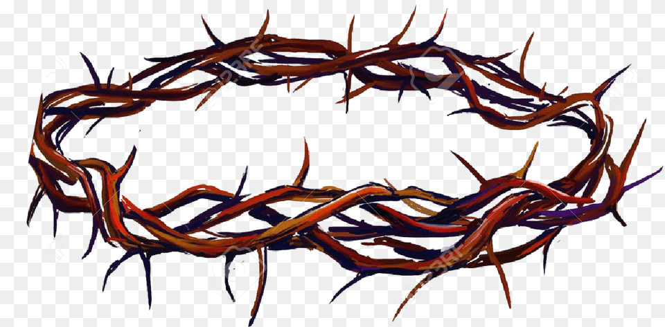 Crown Of Thorns Transparent Image With Background, Wire, Accessories, Animal, Food Free Png Download