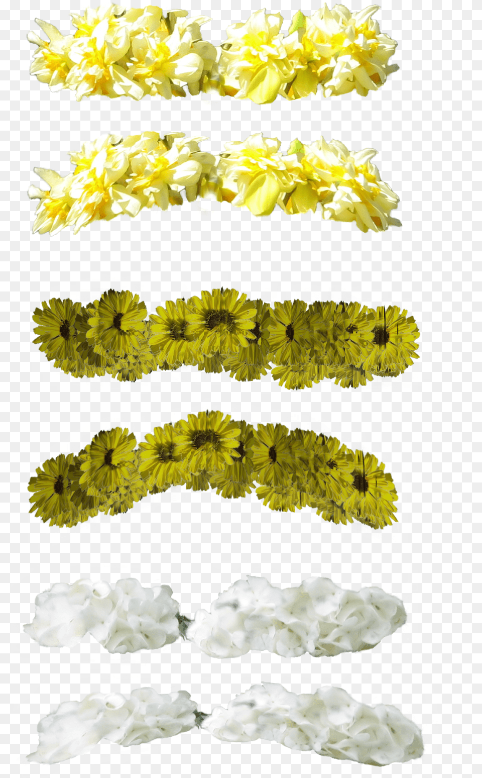 Crown Tumblr Crown Tumblr Green And Yellow Crown Flower, Plant, Petal, Flower Arrangement, Daisy Free Transparent Png
