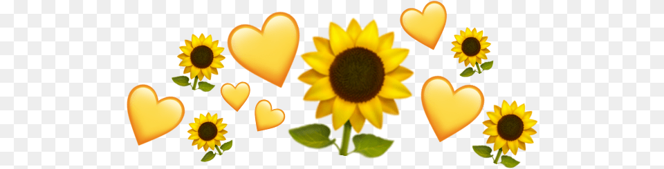 Crownheart Emodzhi Sunflower, Flower, Petal, Plant Png