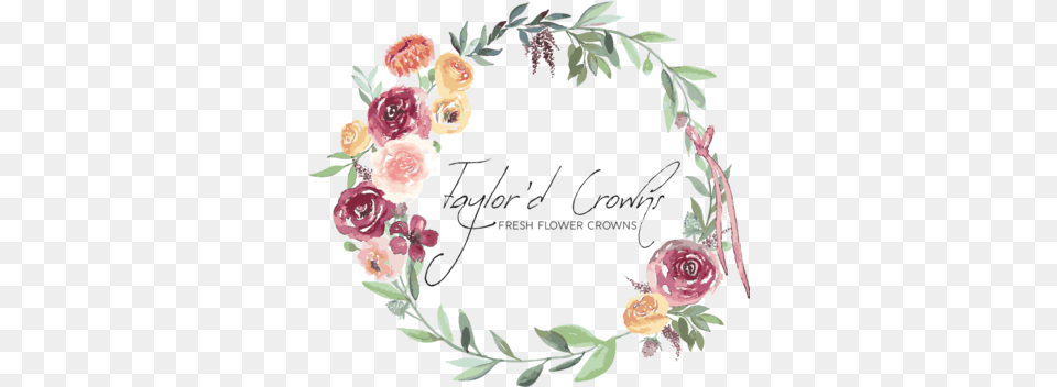 Crowns Garden Roses, Flower, Plant, Rose, Pattern Png Image