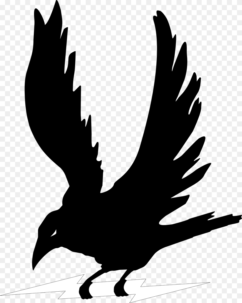 Crows, Silhouette, Animal, Bird, Blackbird Free Transparent Png