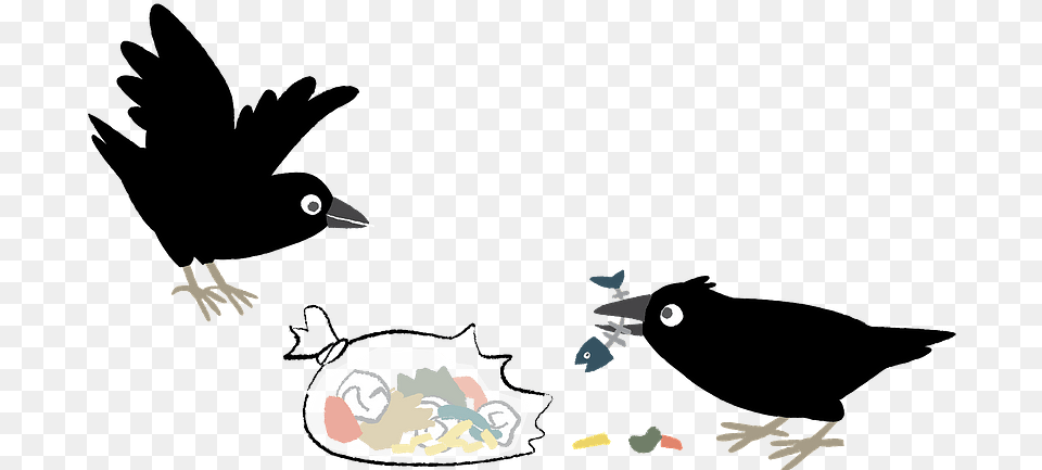 Crows Birds Garbage Clipart Download Free Transparent Png