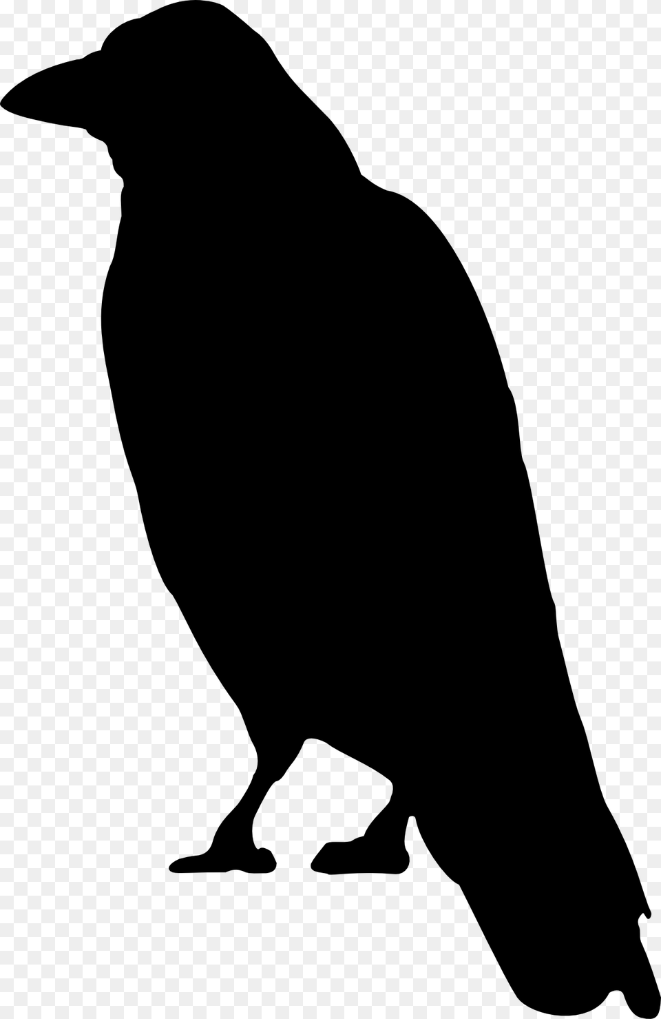 Crows Clip Art Crow Clip Art, Silhouette, Animal, Bird, Adult Free Png Download