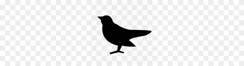 Crows Clipart, Silhouette, Animal, Bird, Blackbird Free Png