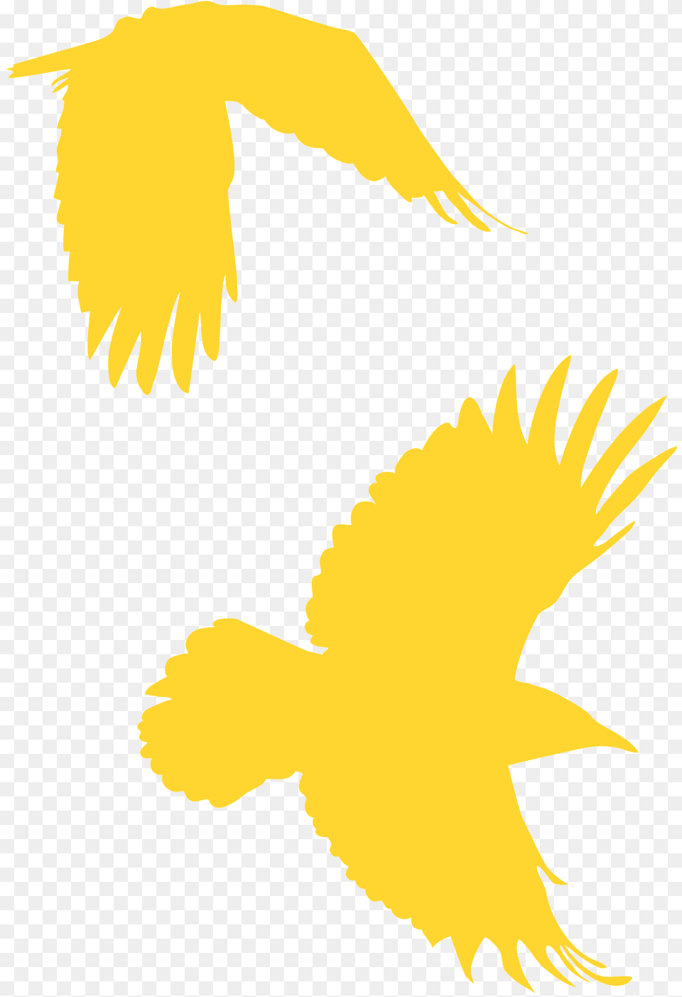 Crows Flying Silhouette, Animal, Bird Free Png