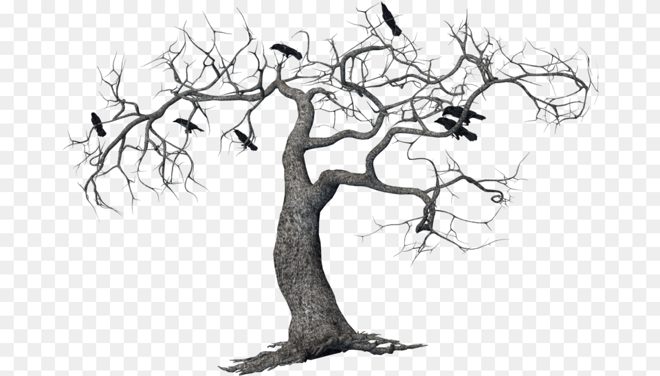 Crows On Tree Transparent, Plant, Tree Trunk, Wood, Animal Free Png Download